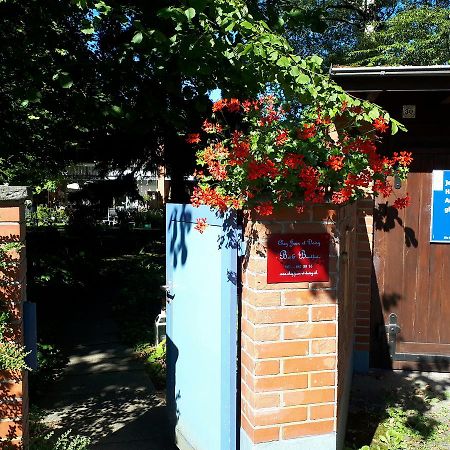 Chez Jean Et Daisy Bed & Breakfast Riehen Dış mekan fotoğraf