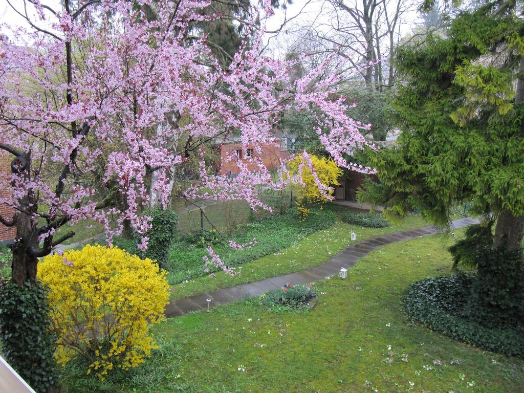Chez Jean Et Daisy Bed & Breakfast Riehen Dış mekan fotoğraf